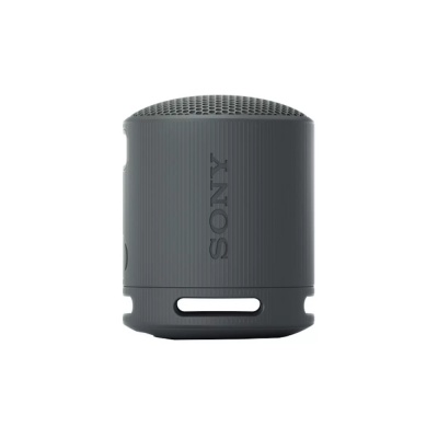 Sony Portable Bluetooth Speaker Black SRSXB100BCE7