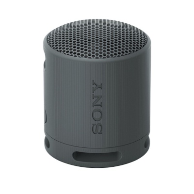 Sony Portable Bluetooth Speaker Black SRSXB100BCE7