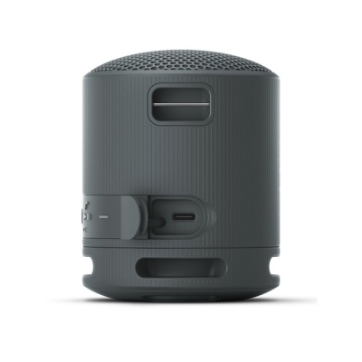 Sony Portable Bluetooth Speaker Black SRSXB100BCE7