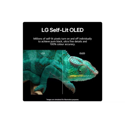 LG 65 Inch OLED 4K Smart TV OLED65B46LA